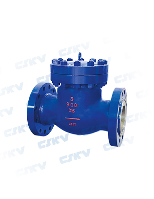 Power station check valve