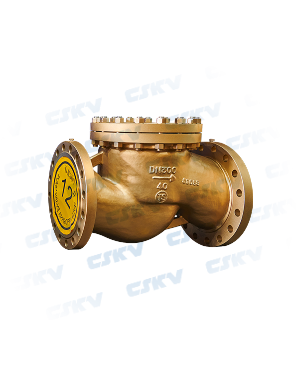 Oxygen special check valve